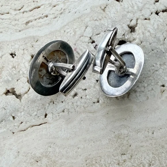 Elegant Silver and Gray Stone Earrings